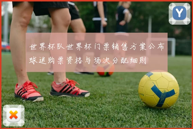 世界杯队世界杯门票销售方案公布球迷购票资格与场次分配细则