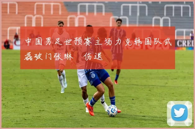 中国男足世预赛主场力克韩国队武磊破门张琳芃伤退