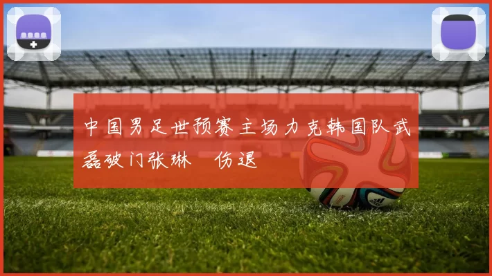 中国男足世预赛主场力克韩国队武磊破门张琳芃伤退